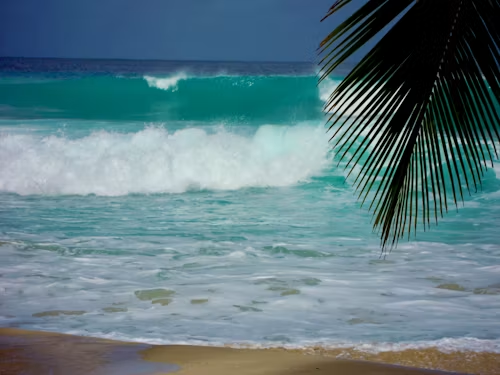 Barbados: Atlantic Coast Adventure