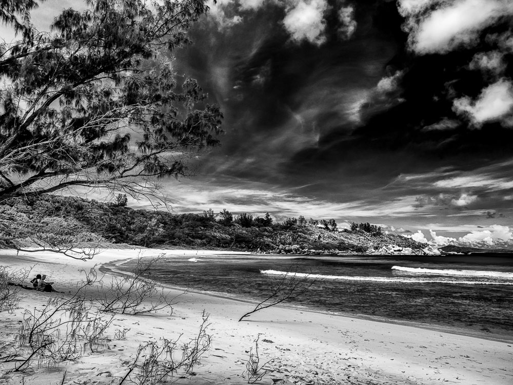 Undeveloped beach and tropical vegetation in the Seychelles