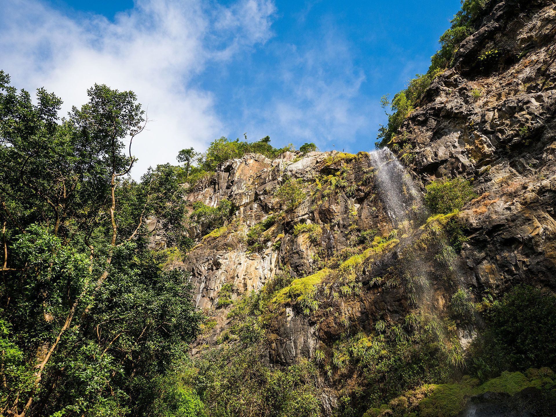Waterfall and forest in Black River Gorges National Park, Mauritius
