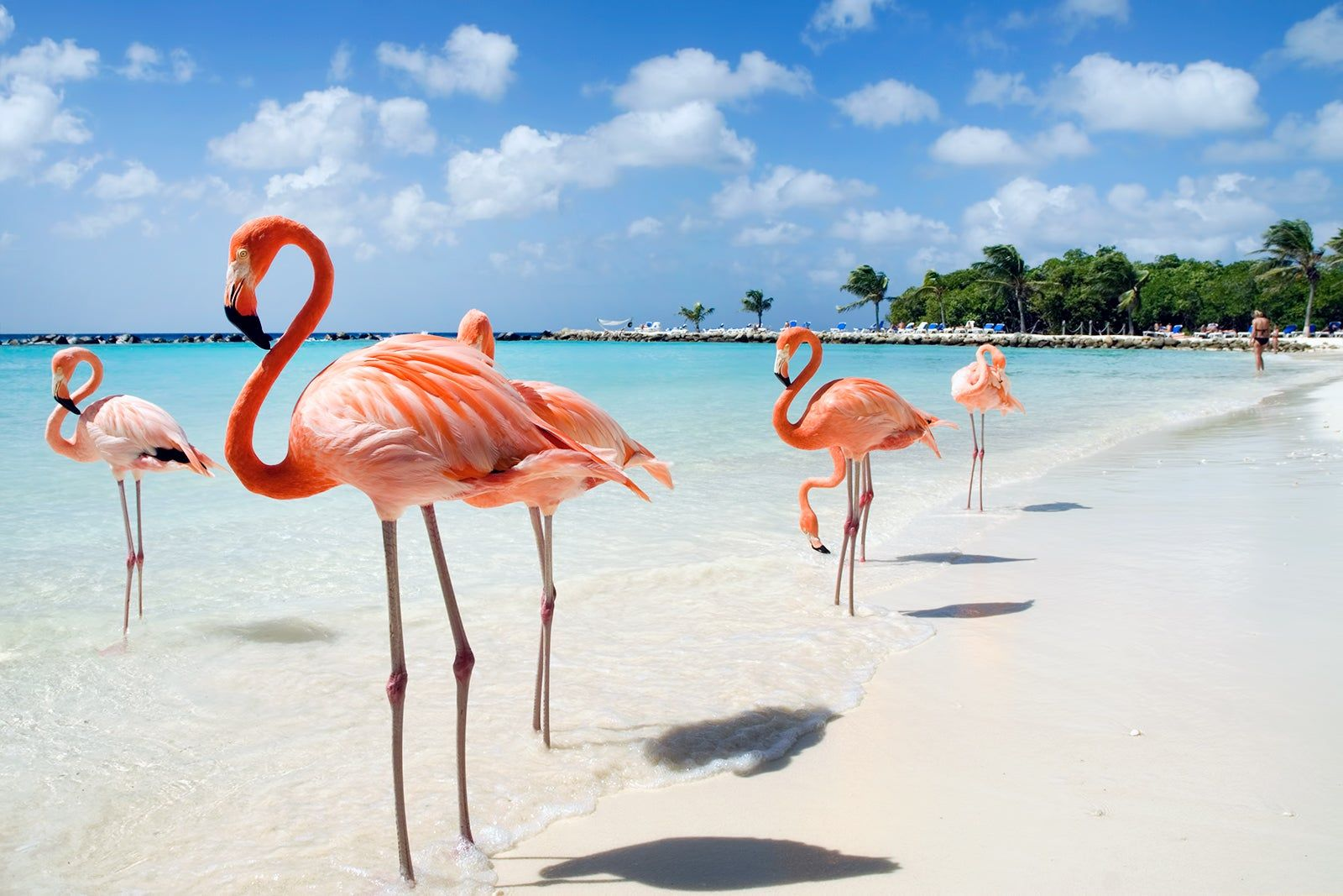 Aruba: hero: immediate destination identity
