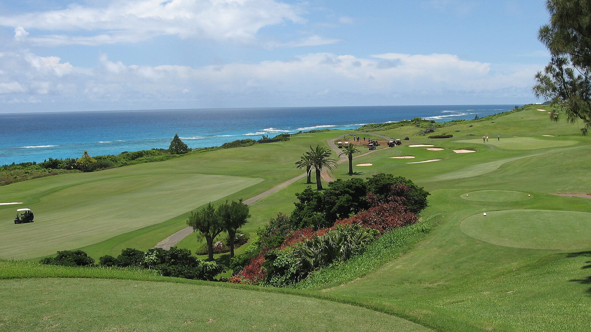 Oceanside fairways, palms, golfers, and blue water at Mid Ocean Club in Bermuda
