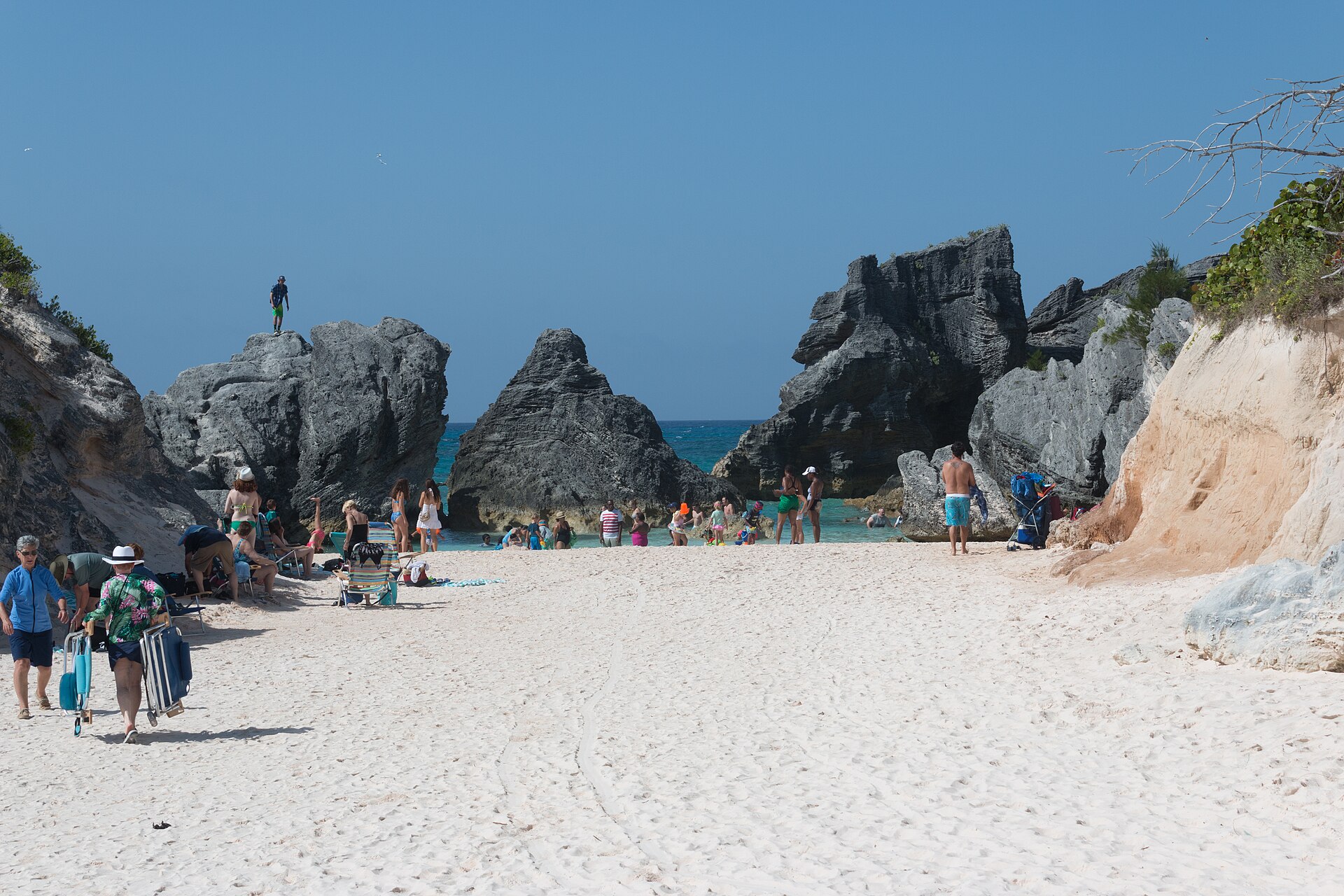 Pink sand, turquoise water, and limestone rock formations at Horseshoe Bay on Bermuda's South Shore