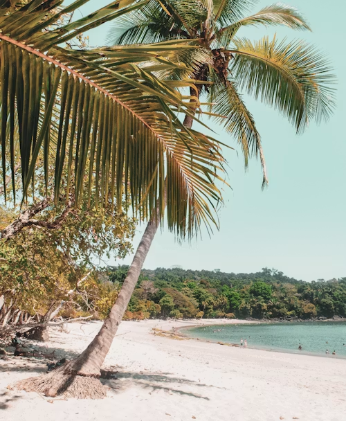 Palm-lined Costa Rica beach for pairing Arenal with a coastal region