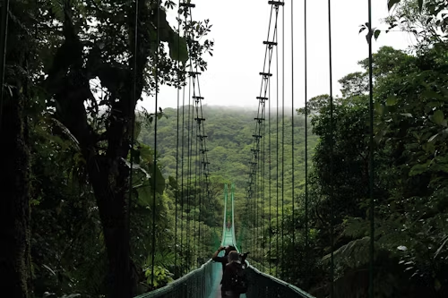 Suspension bridge crossing the cloud forest canopy in Monteverde, Costa Rica