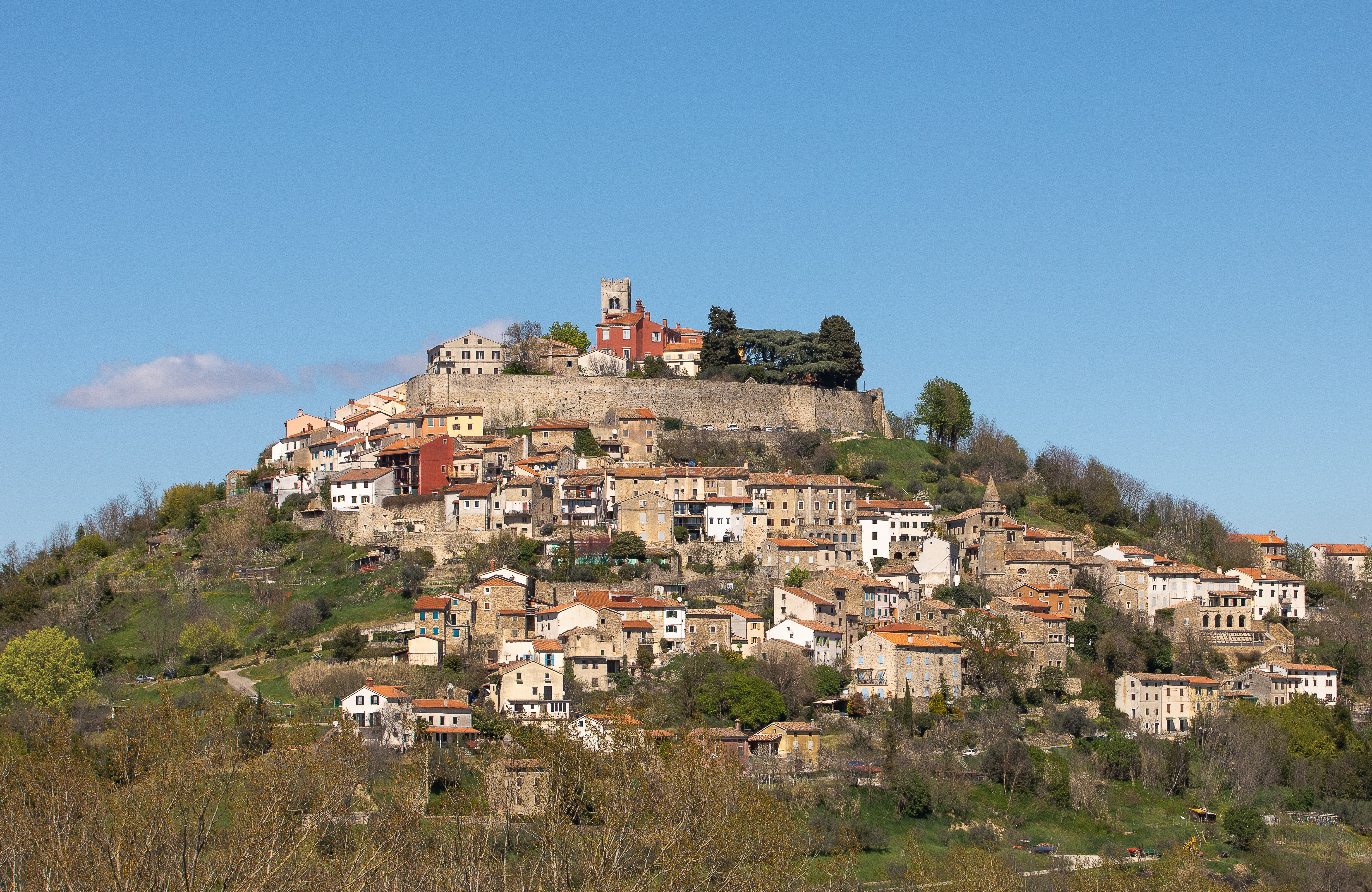 Motovun's hill town rising above vineyards and countryside in Istria, Croatia