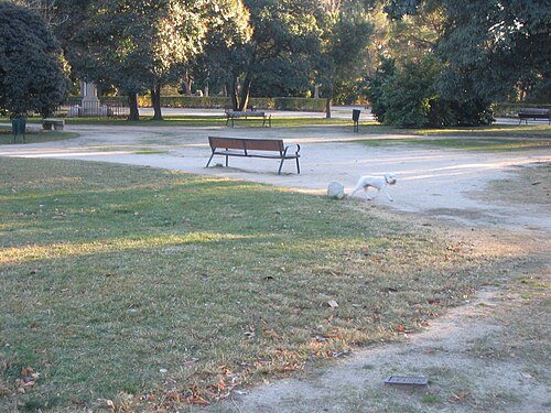 How deeply to explore for Madrid: Real Parque del Buen Retiro
