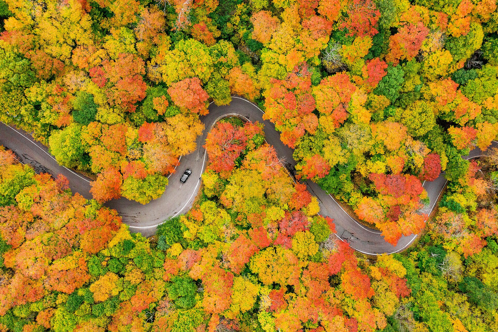Brilliant autumn foliage surrounding a mountain road in Smugglers Notch, Vermont