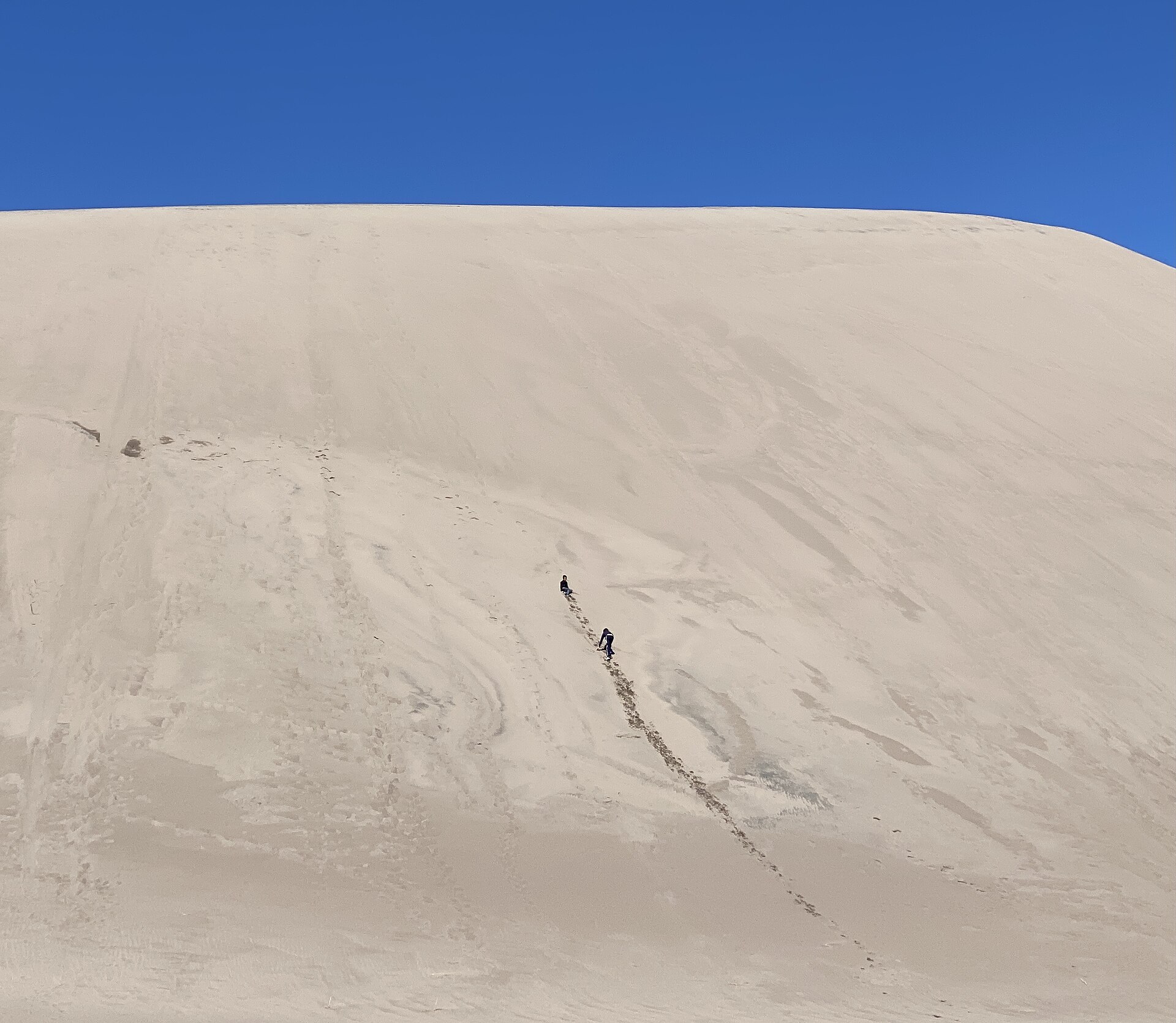 Travelers climbing a vast dune in Great Sand Dunes National Park