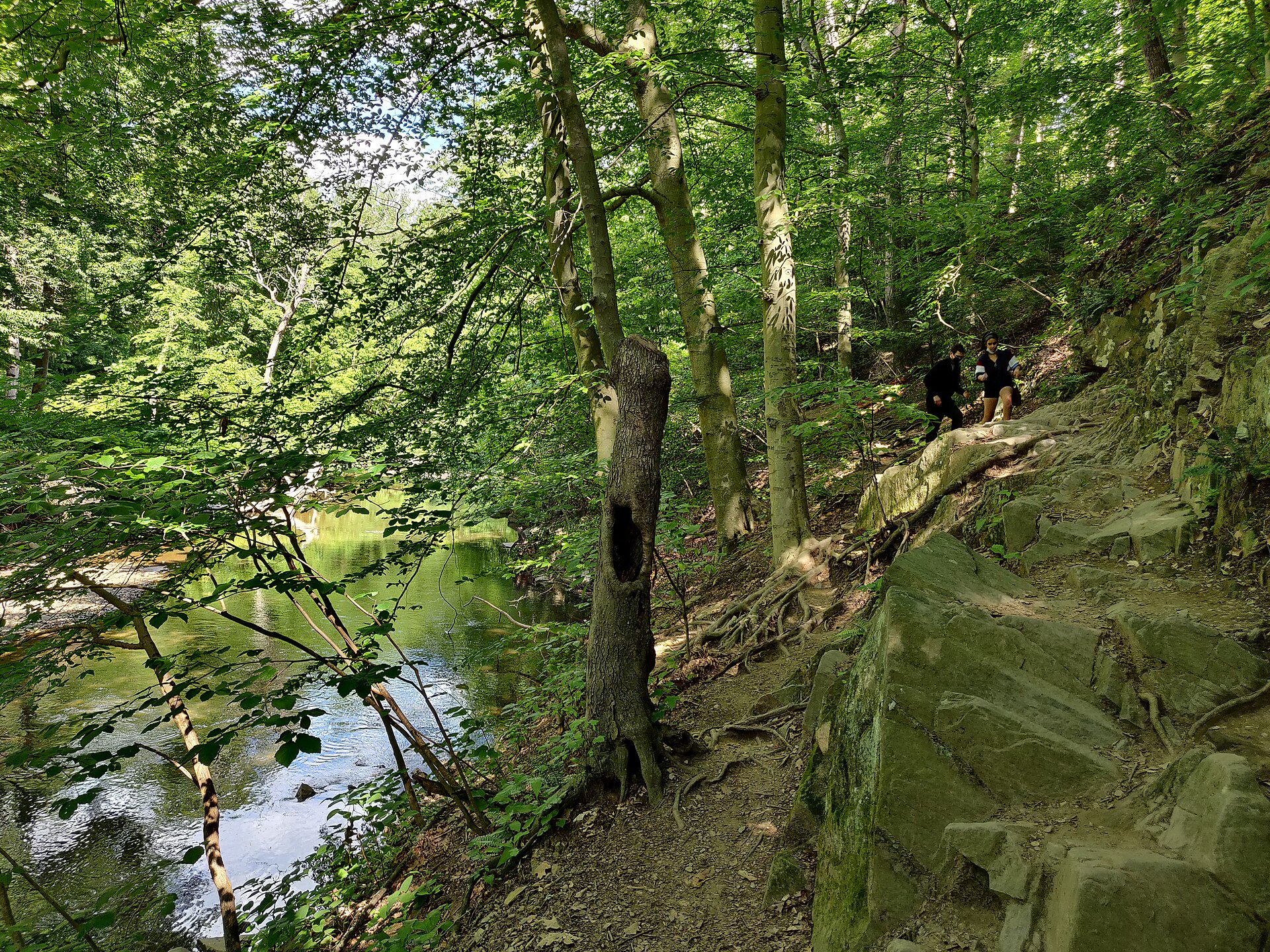 Wooded Rock Creek Park trail following the creek through dense summer foliage