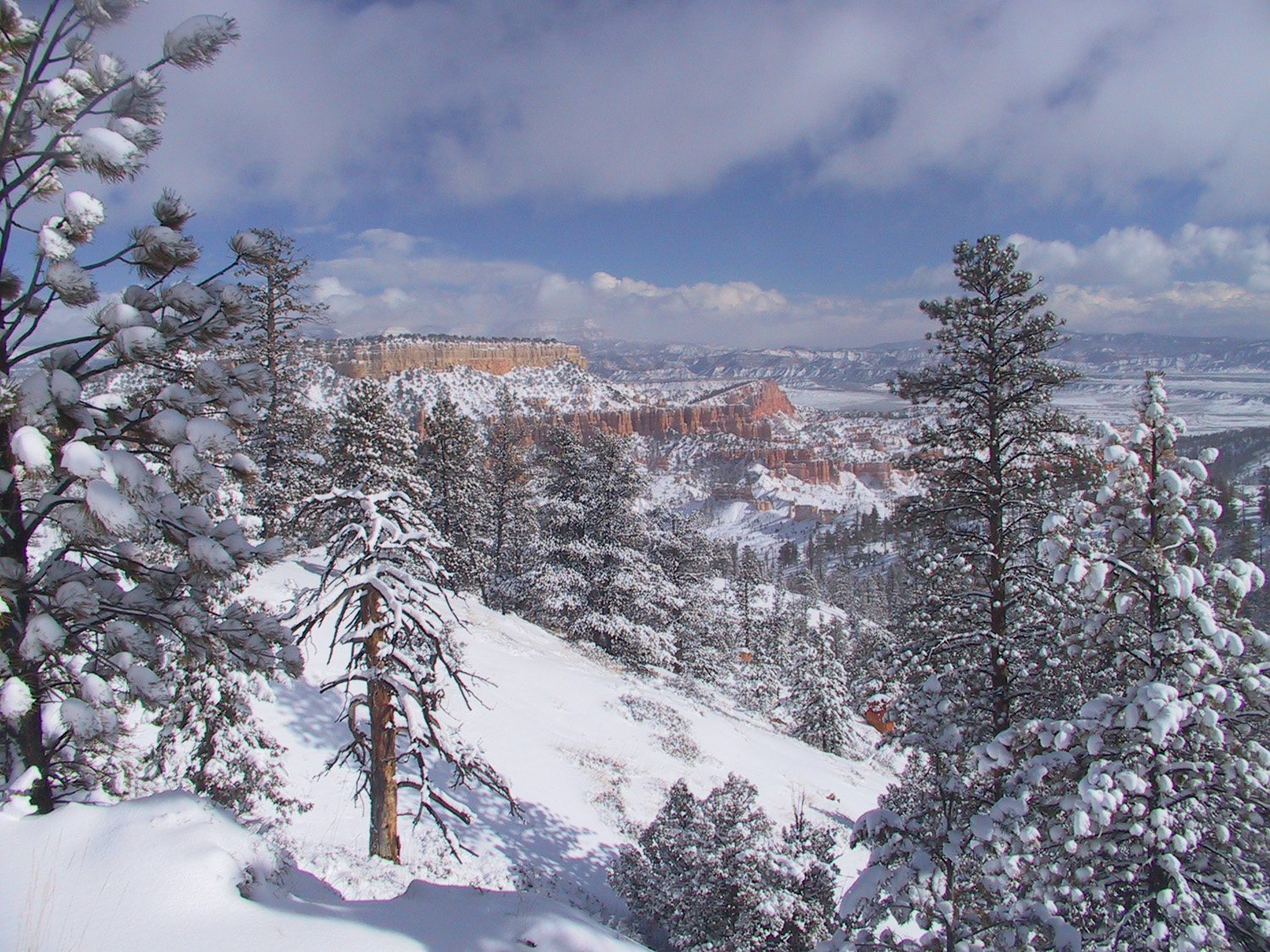 Bryce Canyon hoodoos transformed by fresh snow after a winter storm