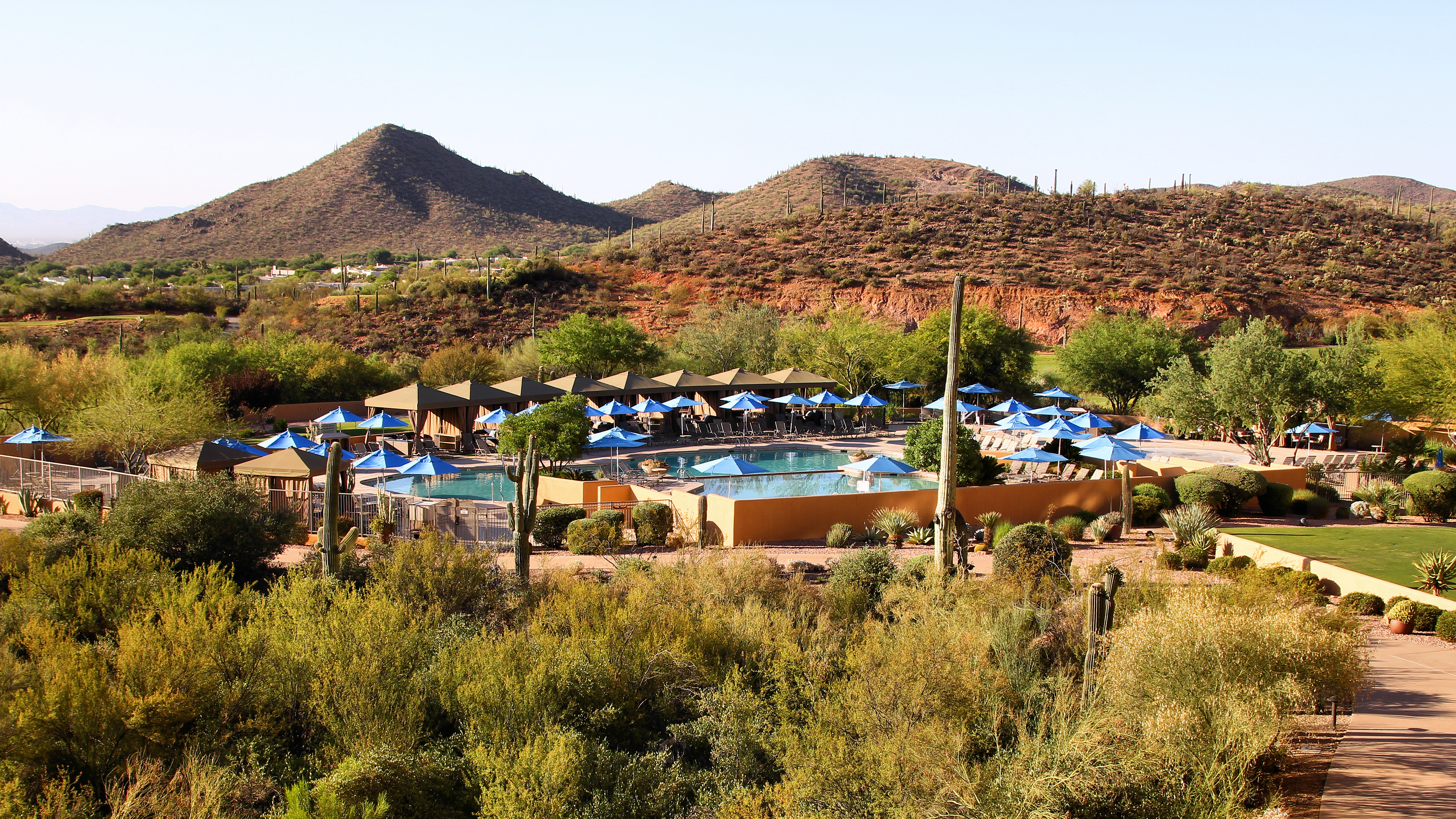 A Sonoran Desert resort pool surrounded by saguaros and Tucson foothills