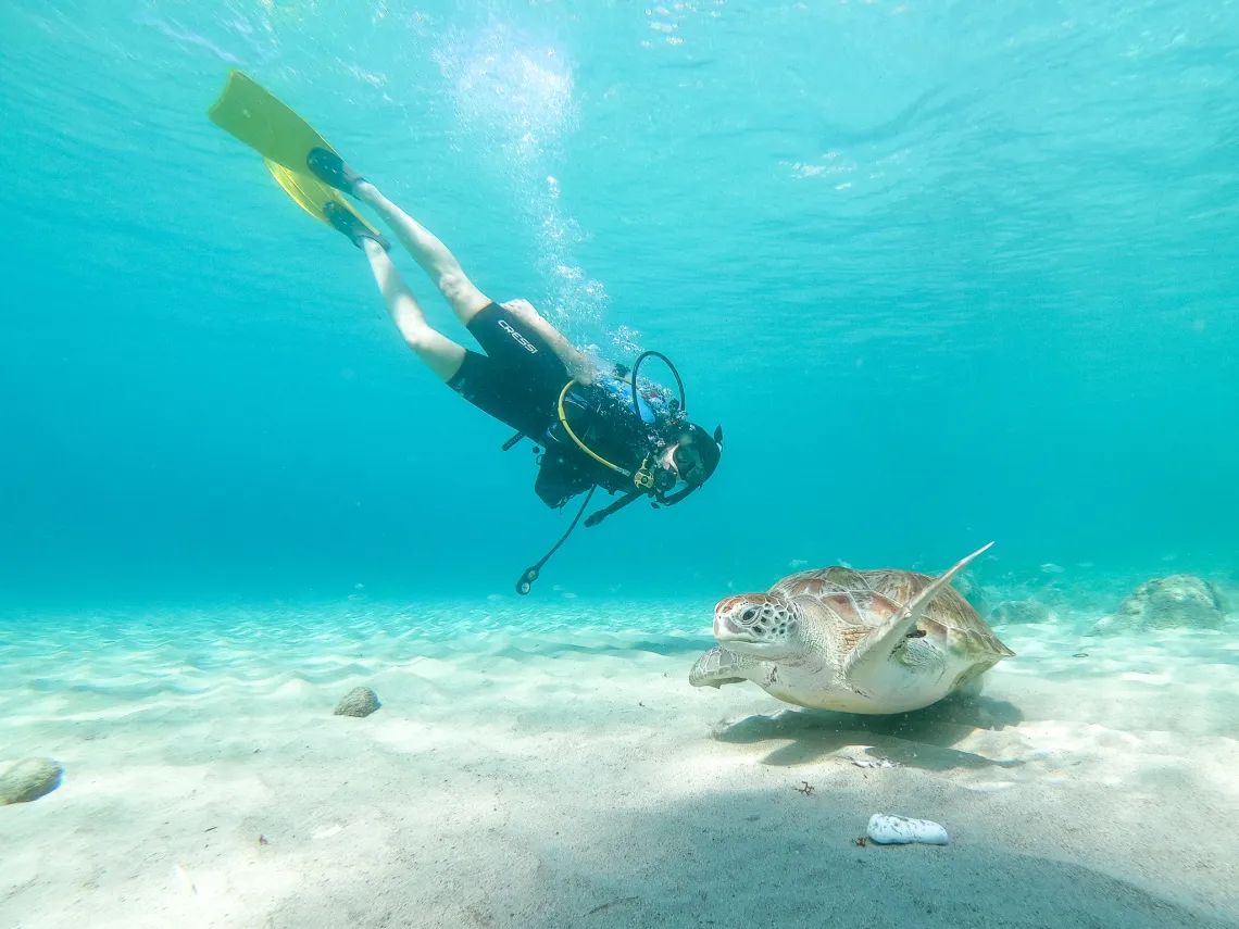 Curaçao: Diving & Marine Adventure