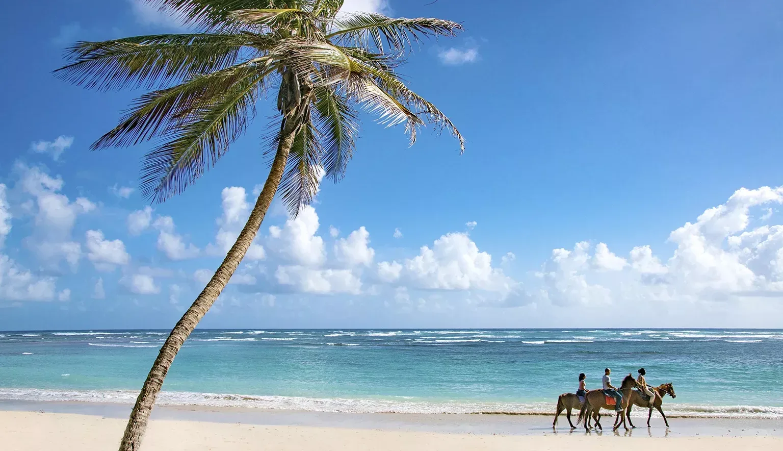 Barbados: hero: immediate destination identity