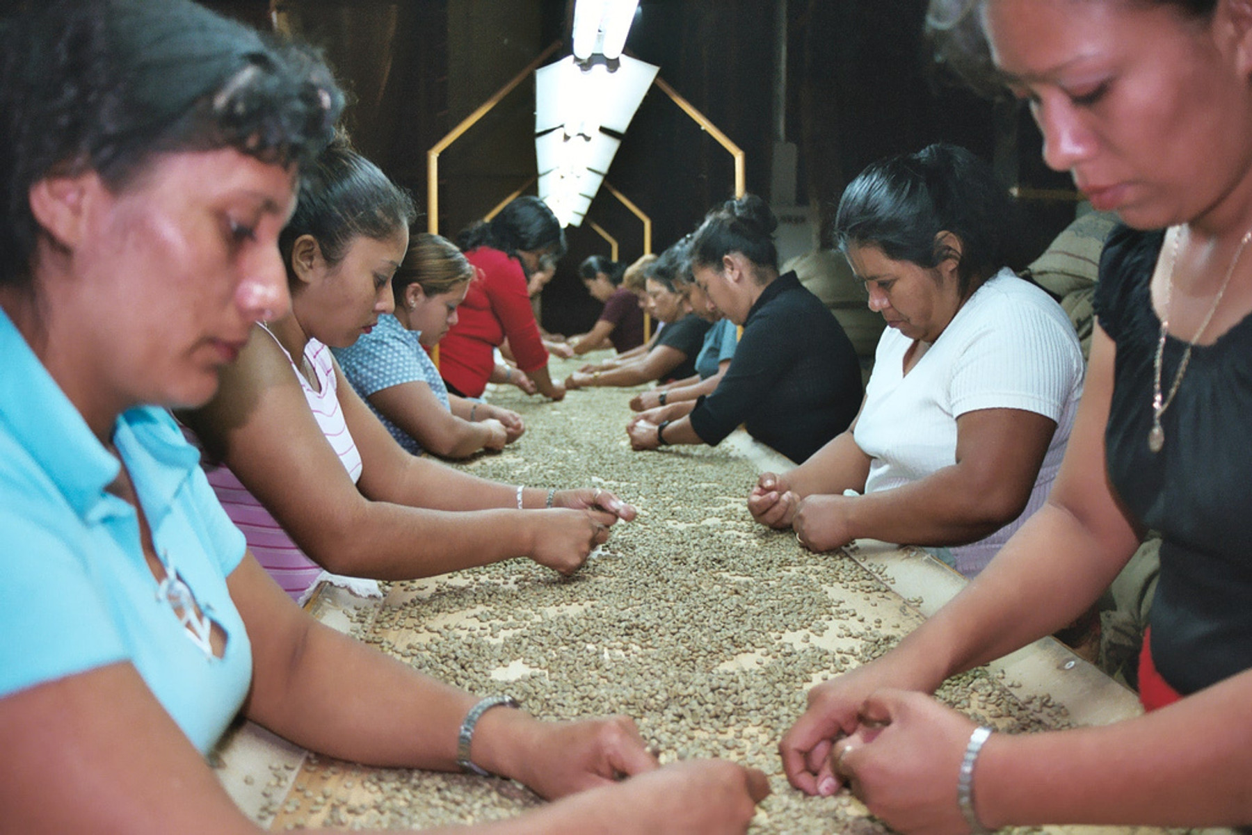 Workers sorting coffee beans at a processing cooperative in Ahuachapán, El Salvador