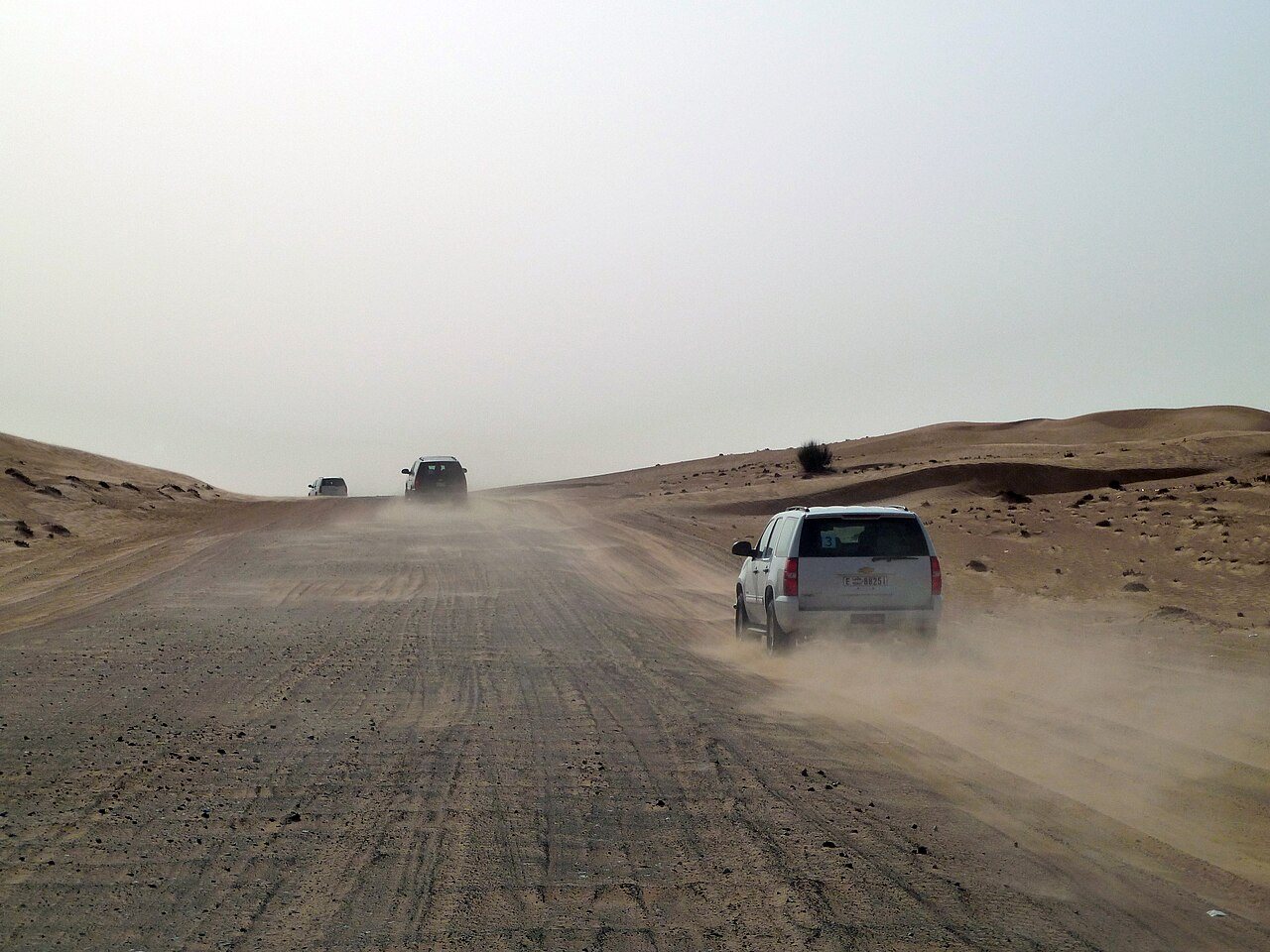 Desert experience: Desert Safari Dubai