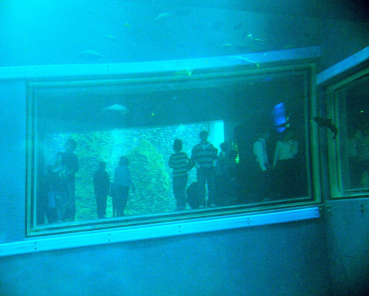 Museums & bay area: Osaka Aquarium Kaiyukan 4