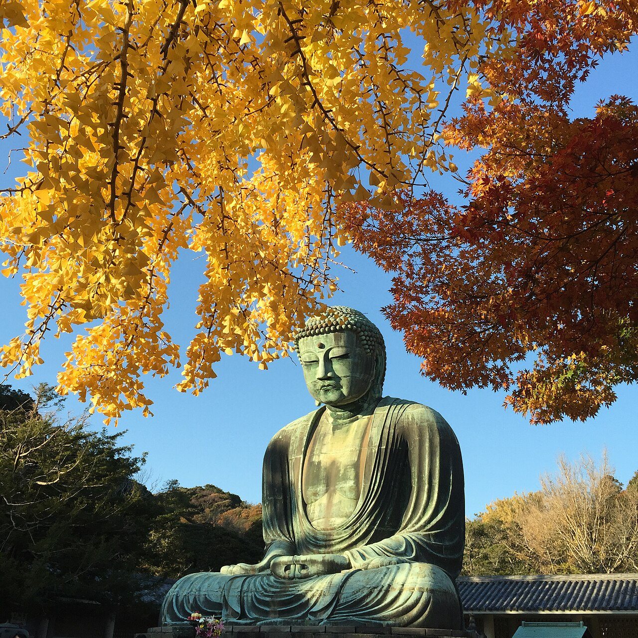 Kamakura or Nikko: Kamakura Daibutsu (Great Buddha Of Kamakura) ,Kamakura , Kanagawa Prefecture, Japan panoramio