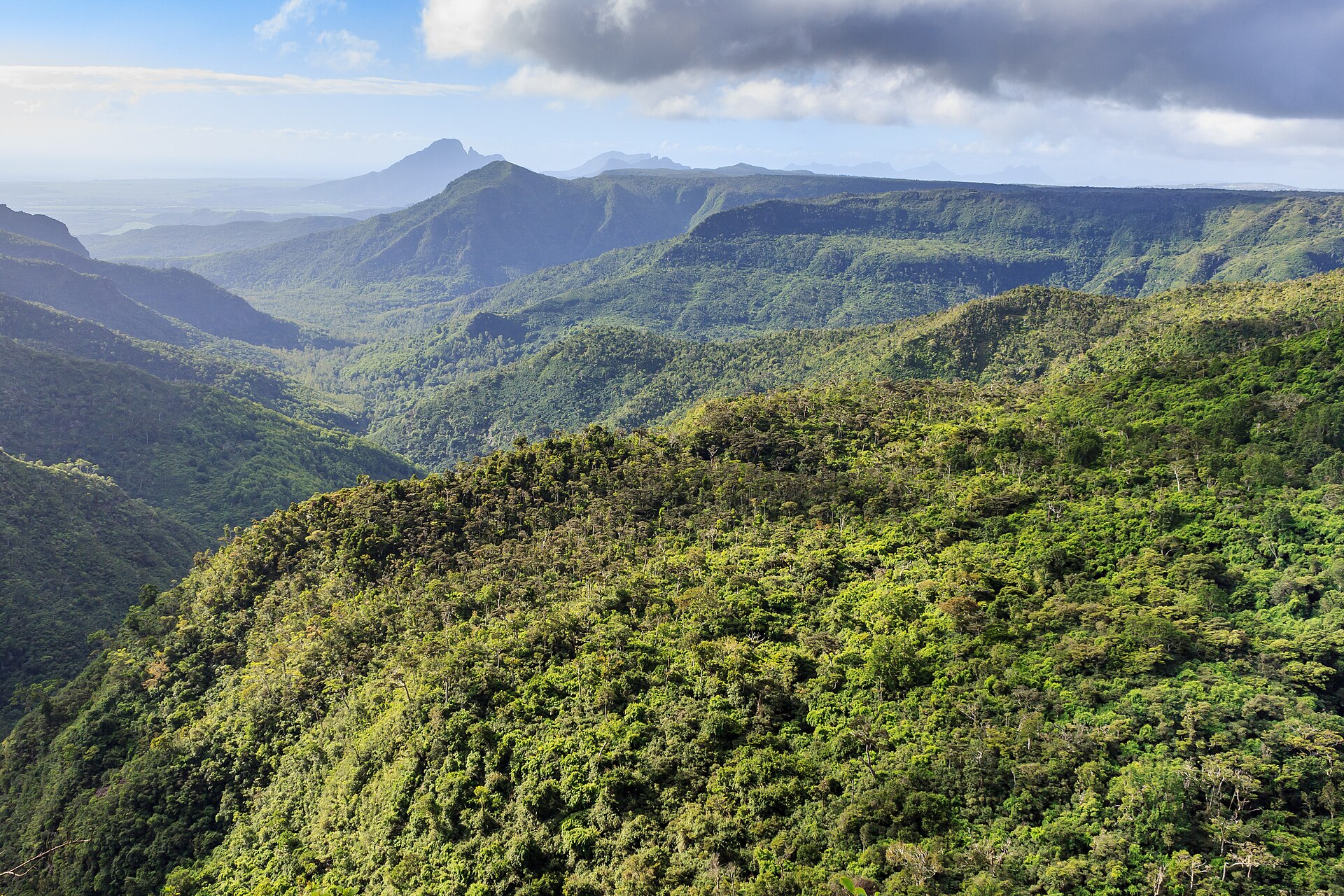 Forested valleys in Black River Gorges National Park, Mauritius