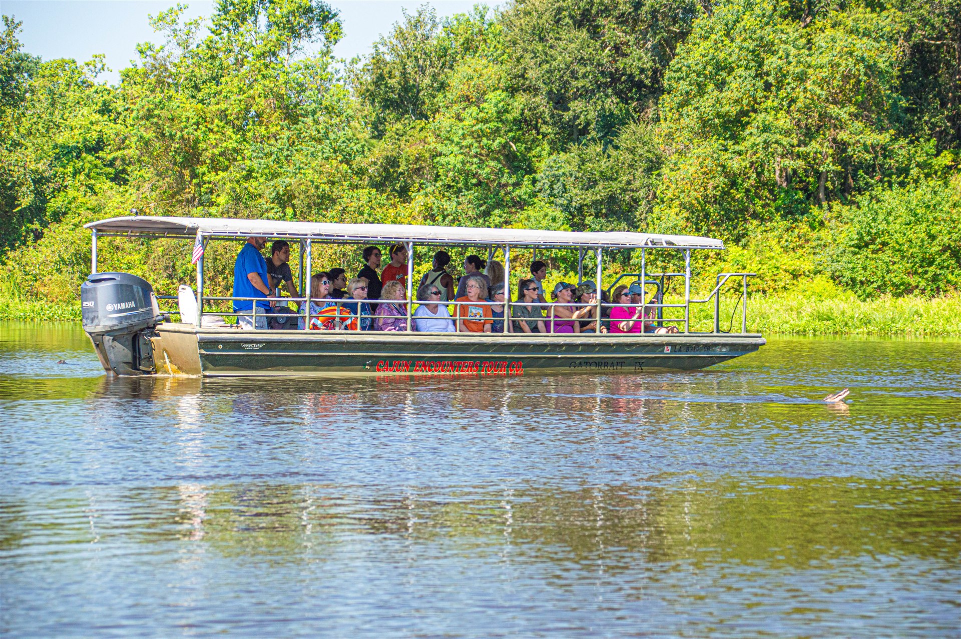 Travelers exploring Louisiana wetlands aboard a covered Honey Island swamp-tour boat