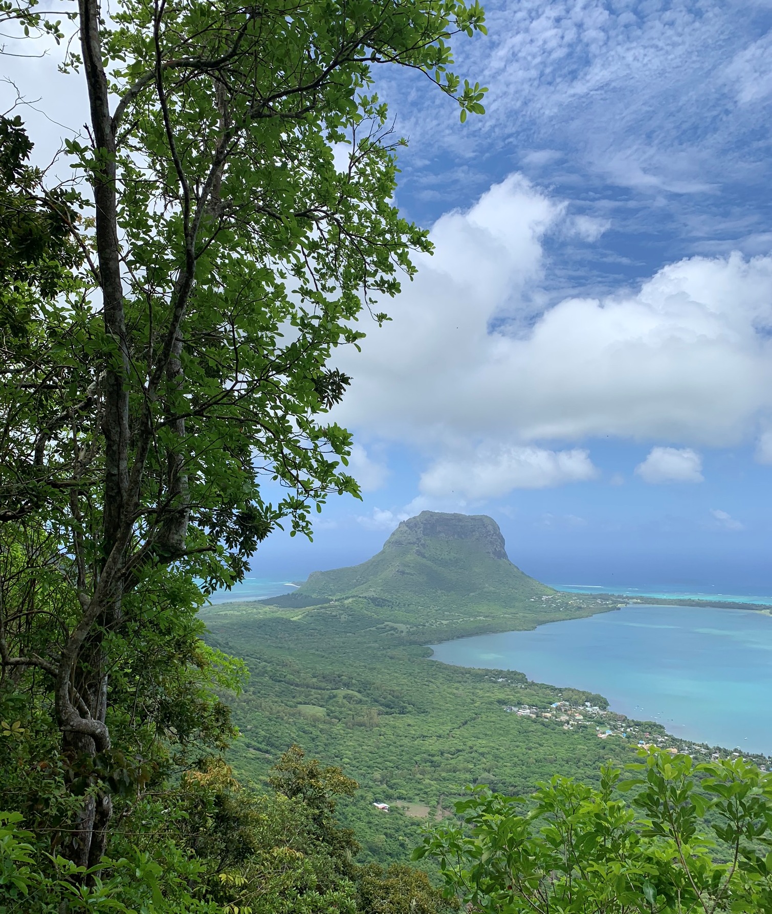 Le Morne Brabant and the southwest coast viewed from Ebony Forest Chamarel, Mauritius