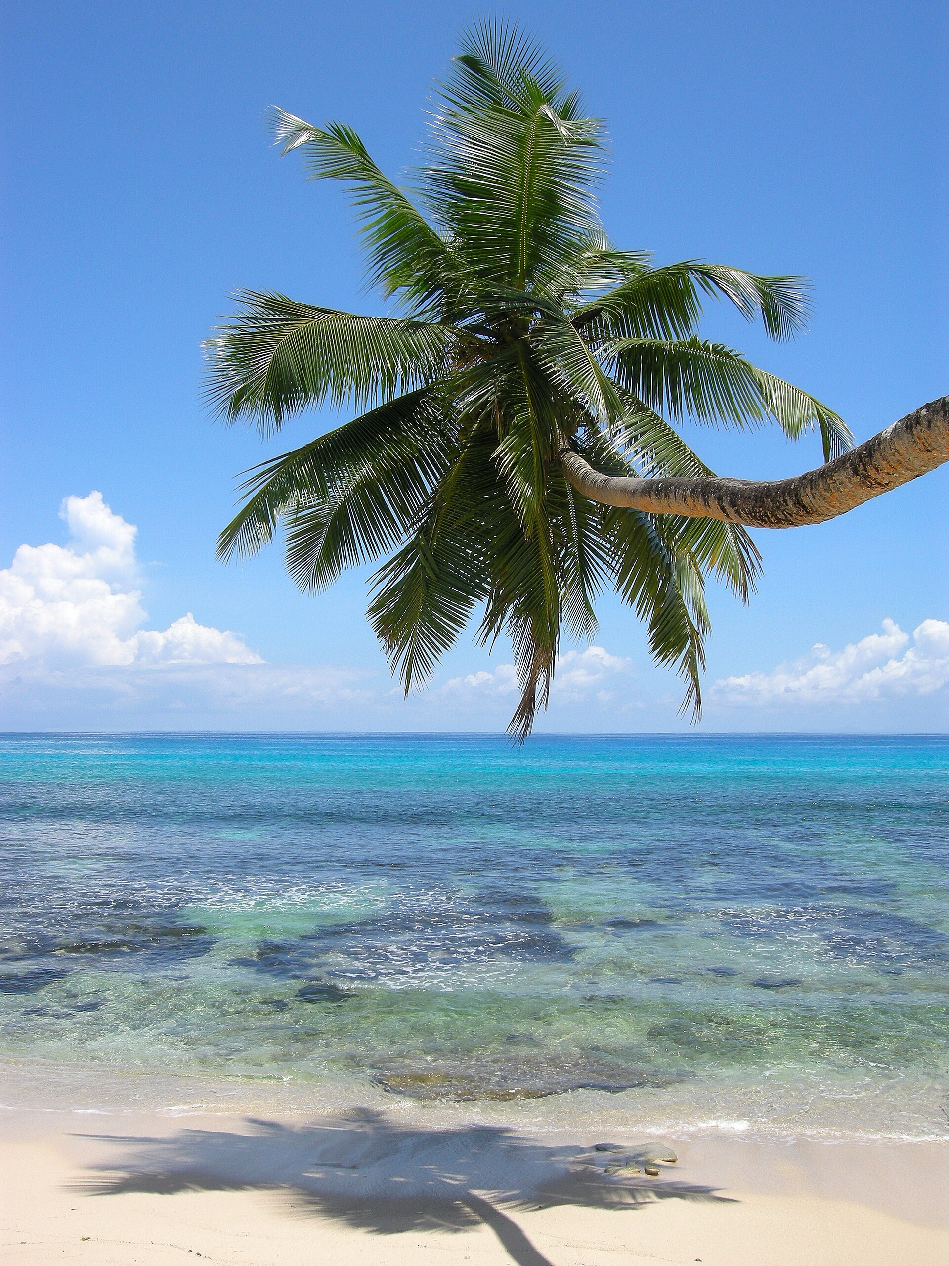 Anse Takamaka beach and forested headlands on Mahé, Seychelles