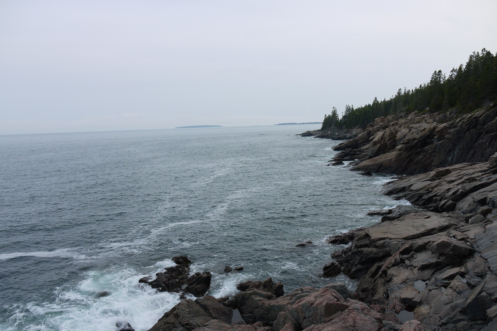 Granite shoreline, forest, and Atlantic water in Acadia National Park