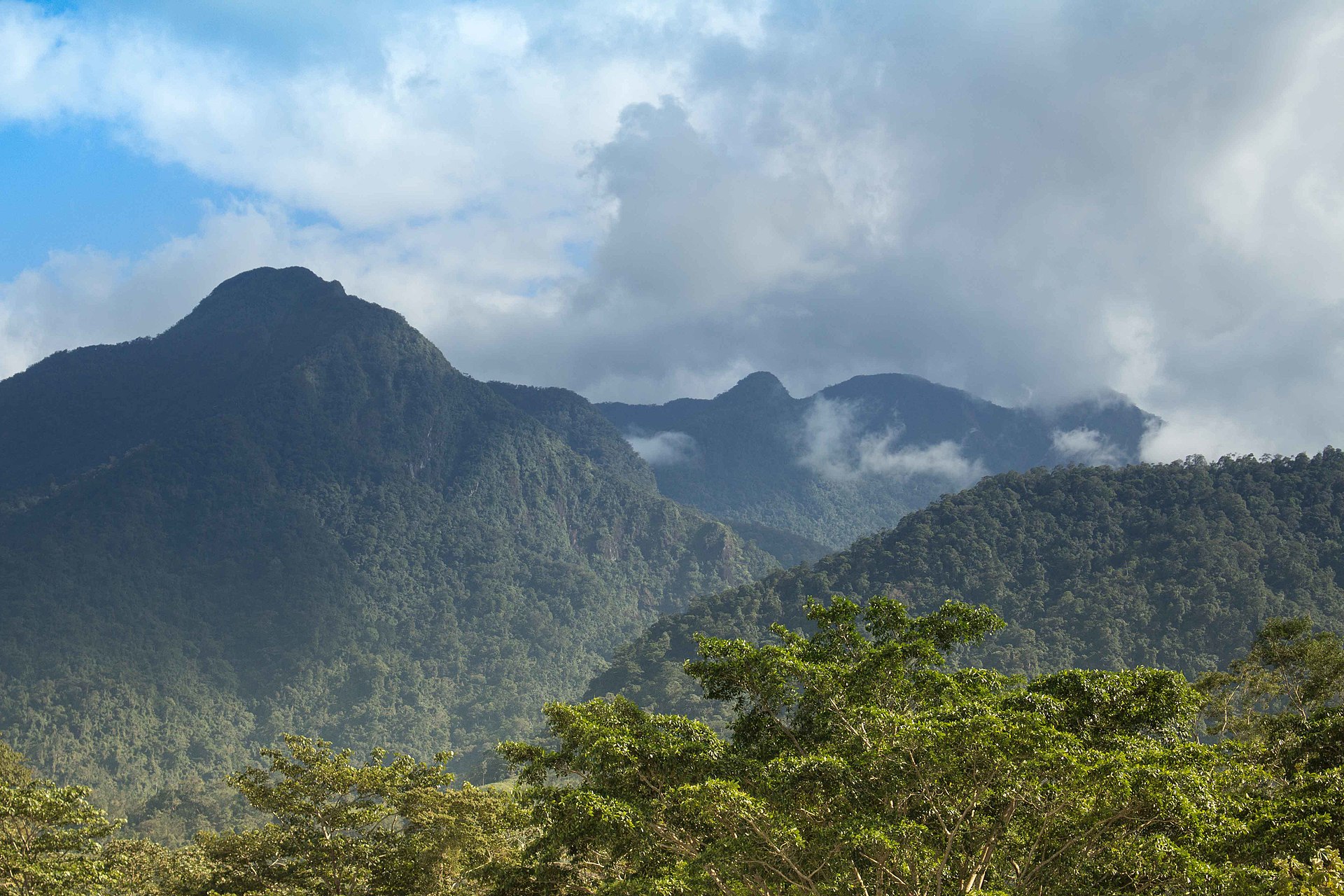 Dense tropical forest and mountain terrain in Pico Bonito, Honduras