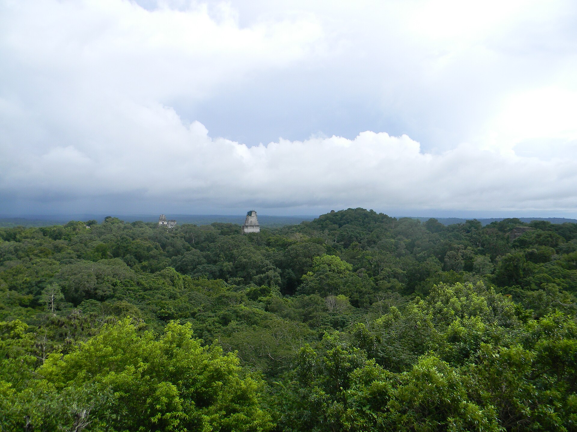 Tikal temple roof combs rising above the Petén rainforest canopy