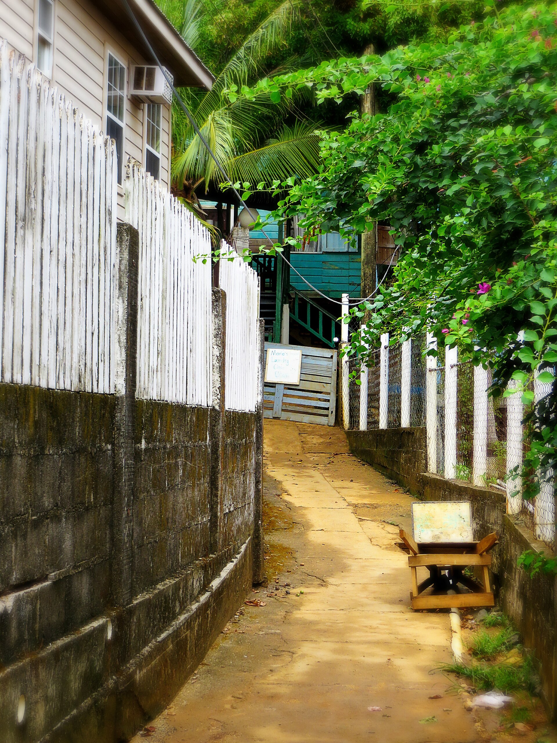 Utila's shoreline and island settlement in Honduras's Bay Islands