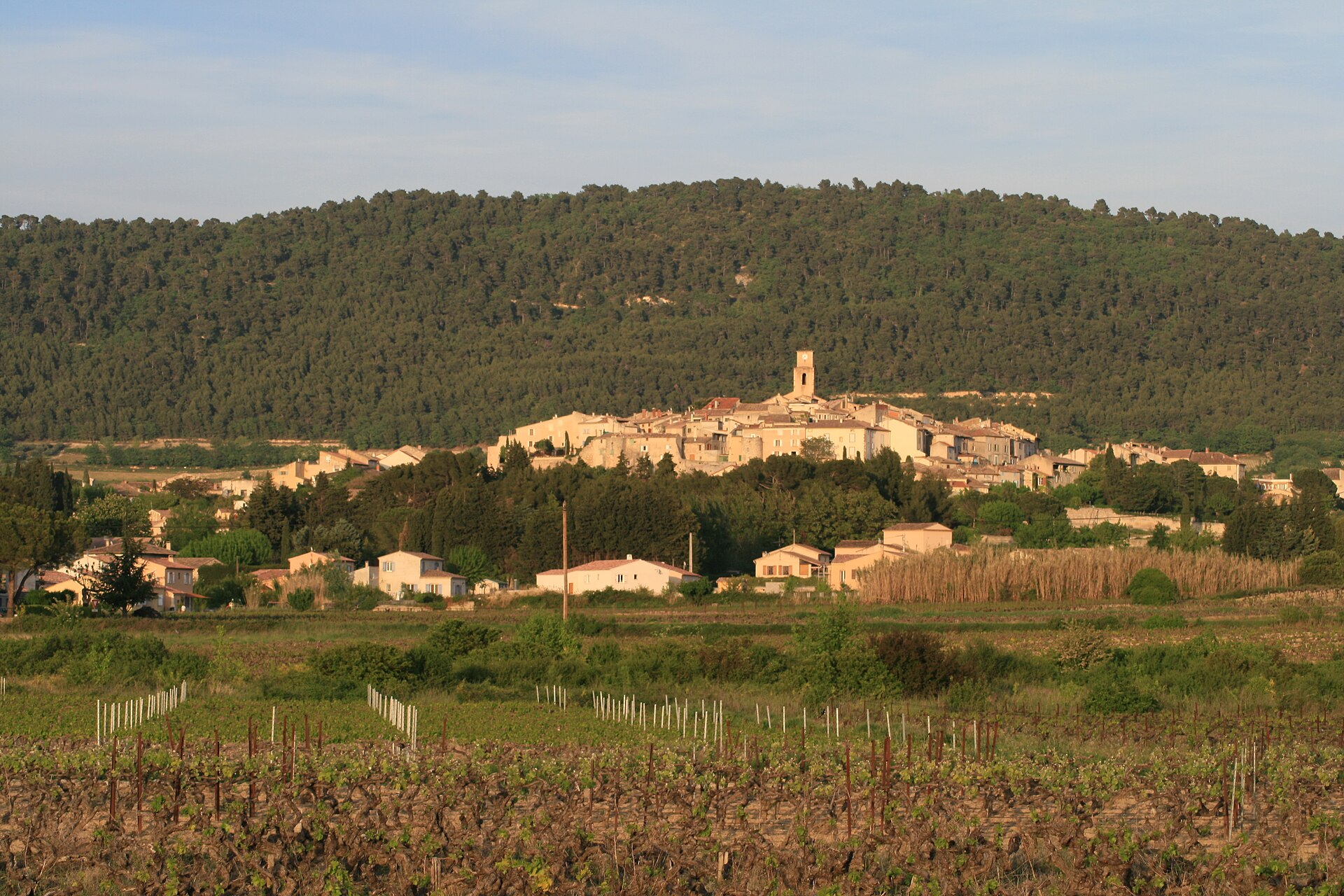 Rhône vineyard and village landscape in southern France