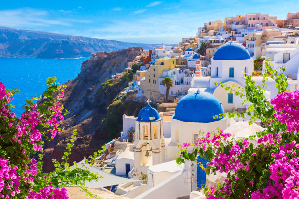 Purple bougainvillea framing blue-domed churches above the Santorini caldera in Greece