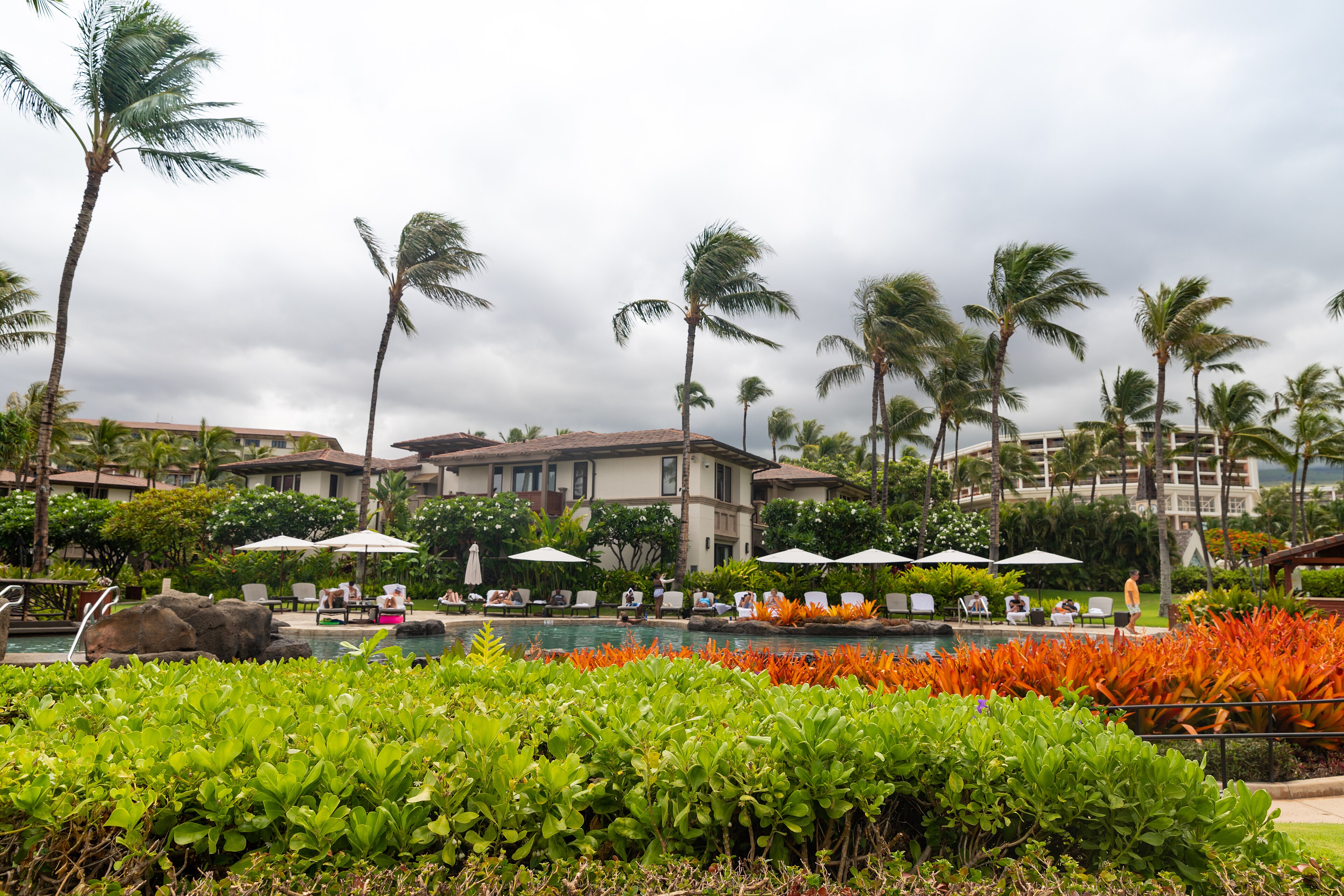 Wailea resort gardens, pool, palms, and guest terraces on Maui