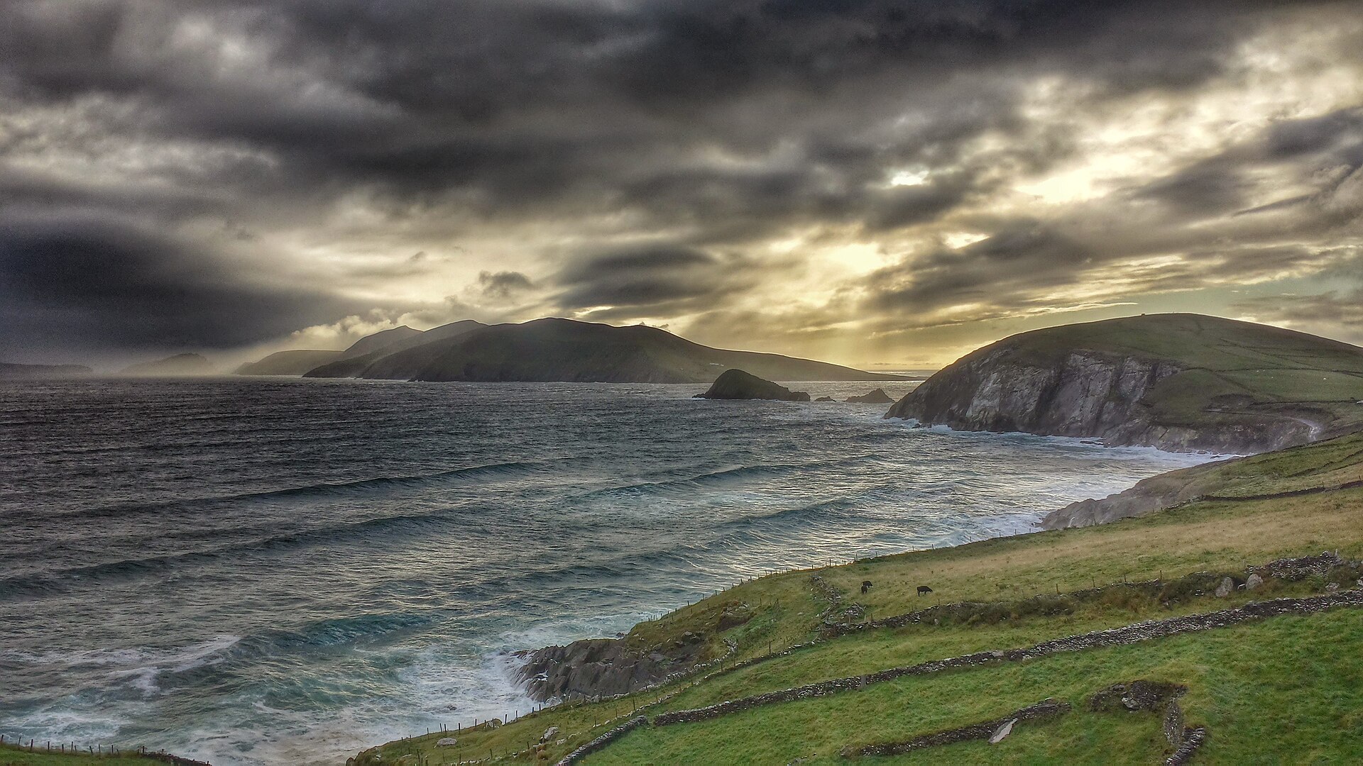Green headlands and the Atlantic coast at Slea Head on Ireland's Dingle Peninsula