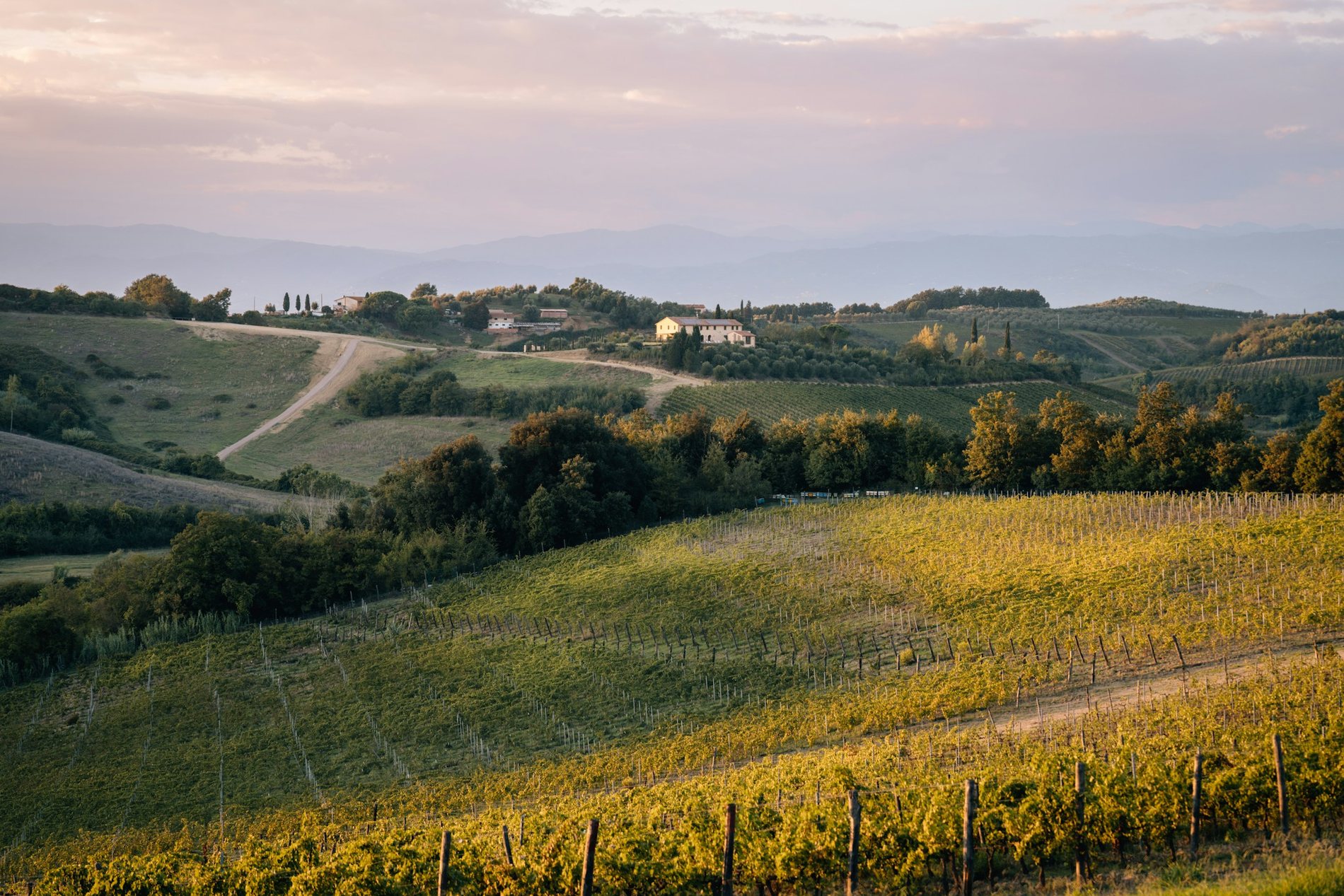 A Tuscan vineyard estate in warm evening light
