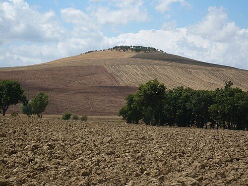 A broader city stay for Florence: Tuscany hill and fields