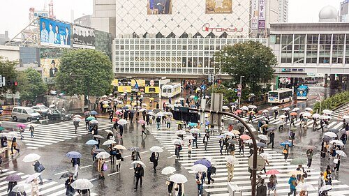 A deeper regional extension for Tokyo: Shibuya Pedestrian Scramble