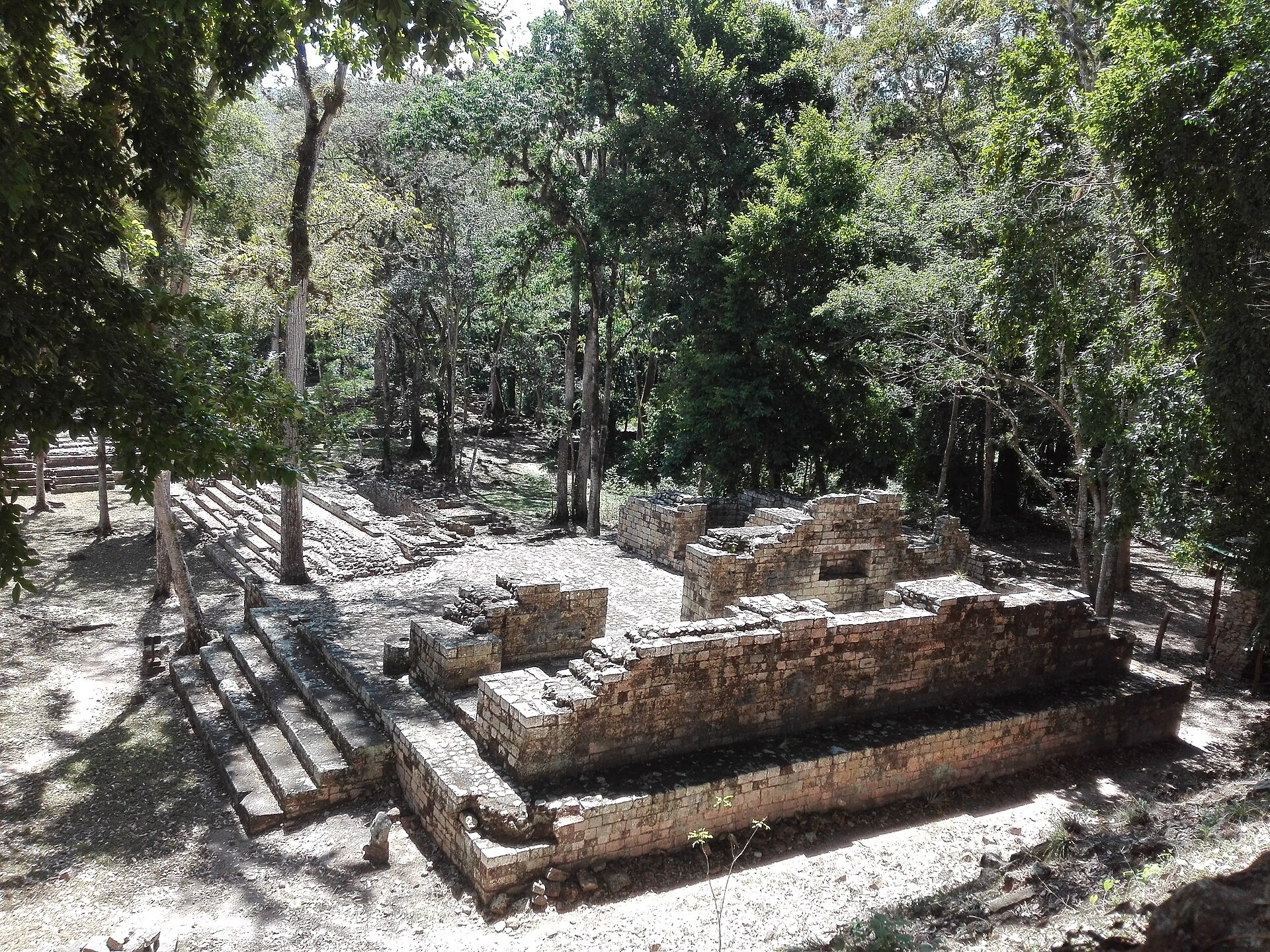 Maya stone architecture among trees at Copán, Honduras