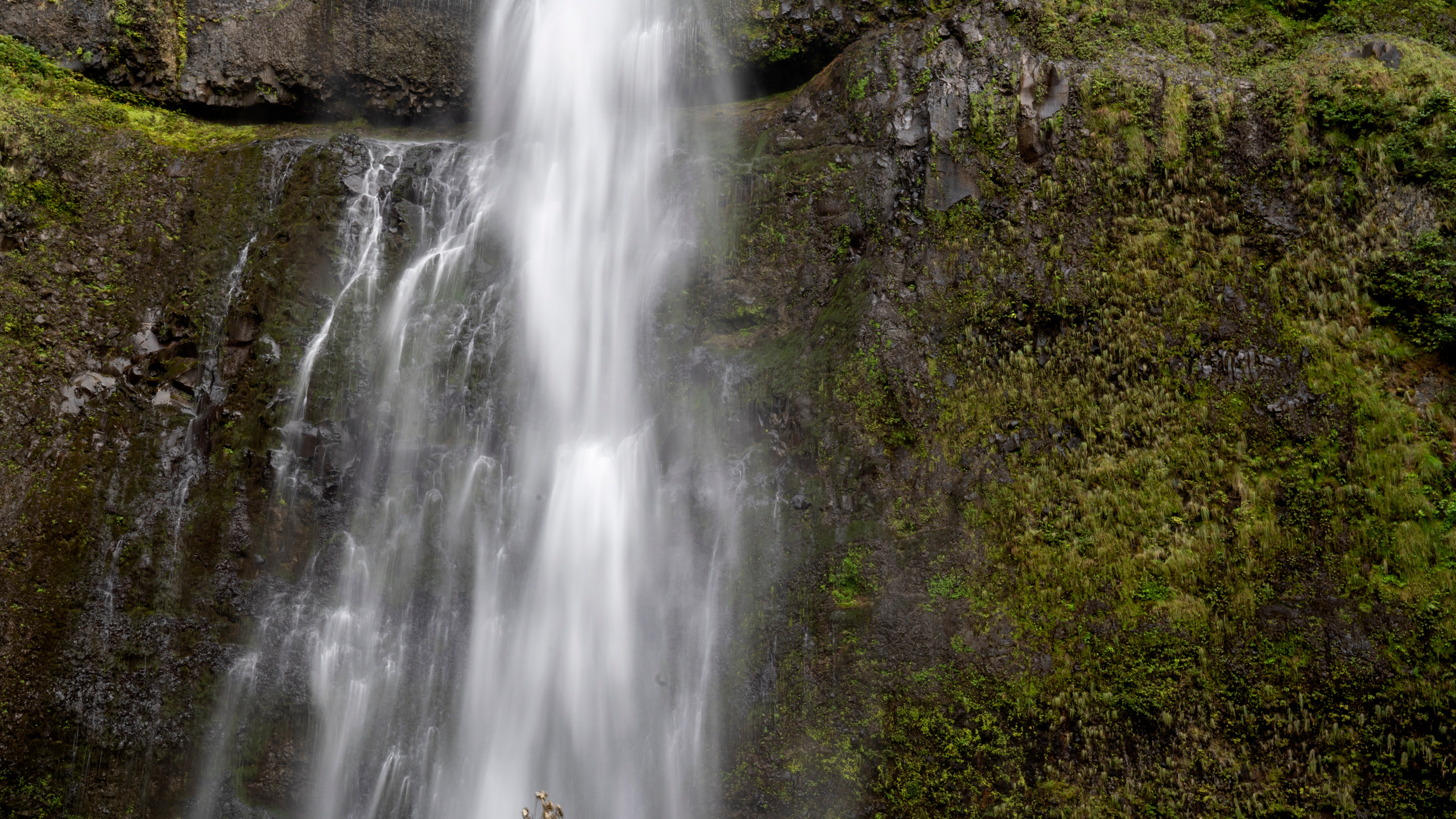Multnomah Falls dropping through the moss-covered basalt cliffs of the Columbia River Gorge