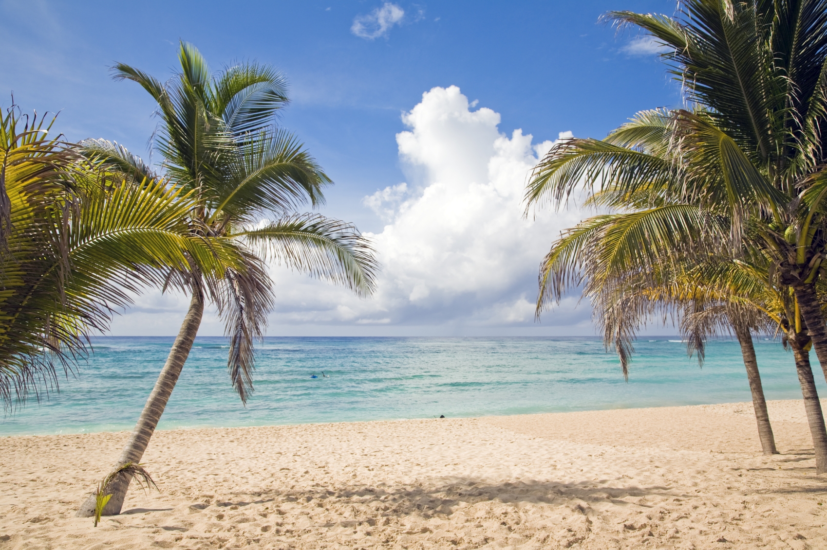 Palm-lined beach and turquoise Caribbean water at Grand Velas Riviera Maya in Mexico