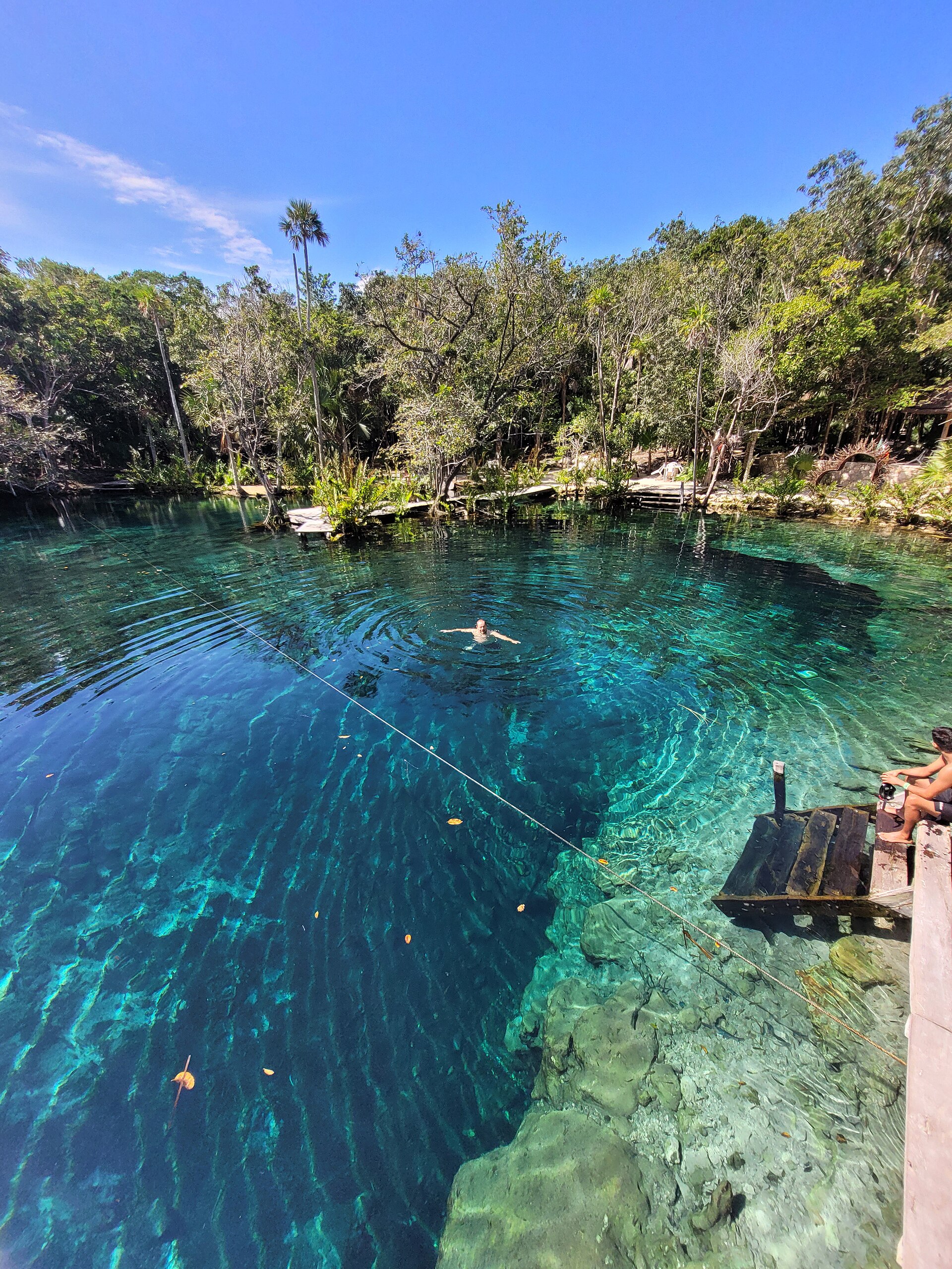 A swimmer in the clear water of Cenote Corazón Paraíso amid the jungle near Tulum