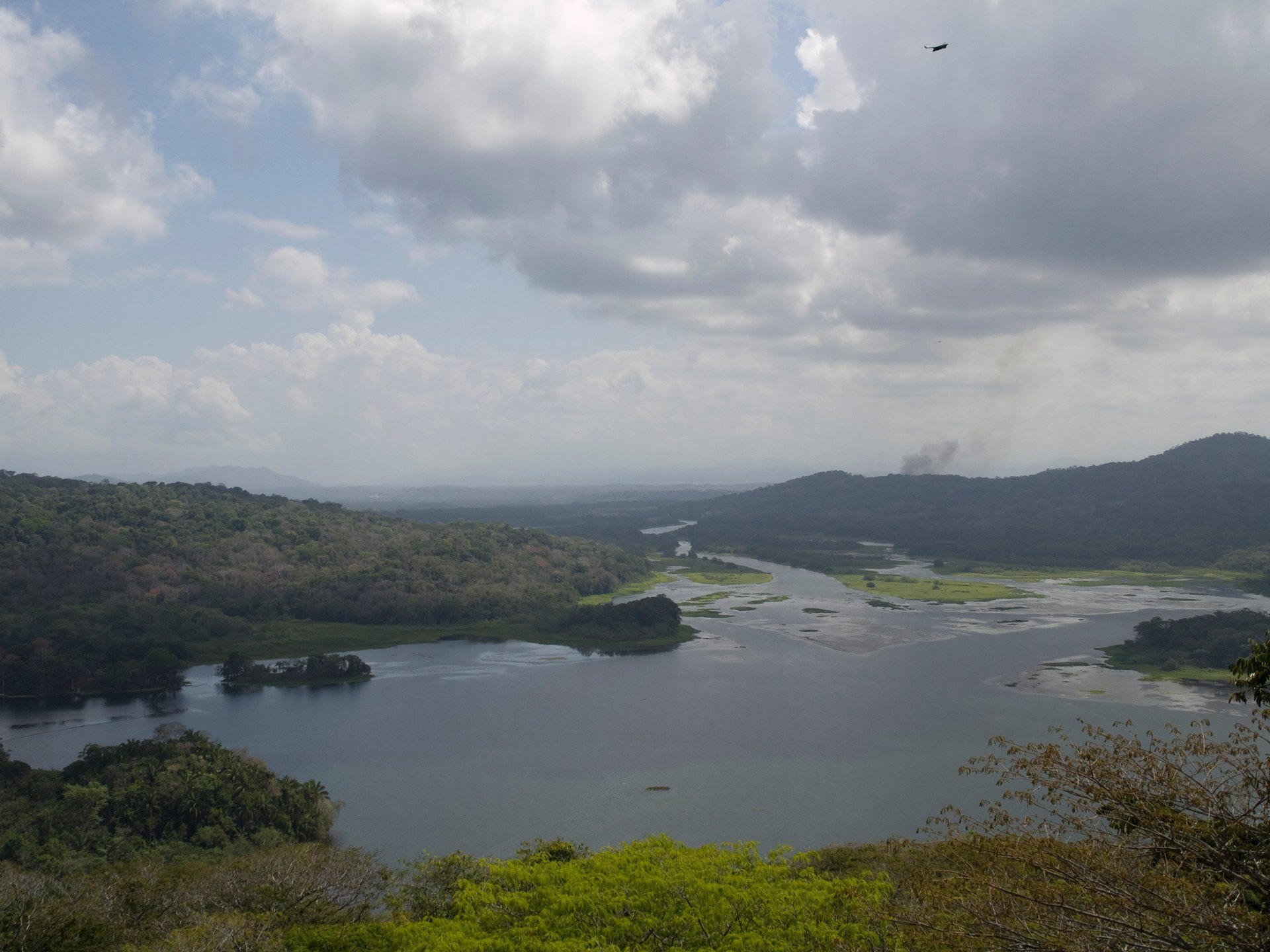Rainforest-covered shores and waterways at Gamboa in Panama's canal watershed