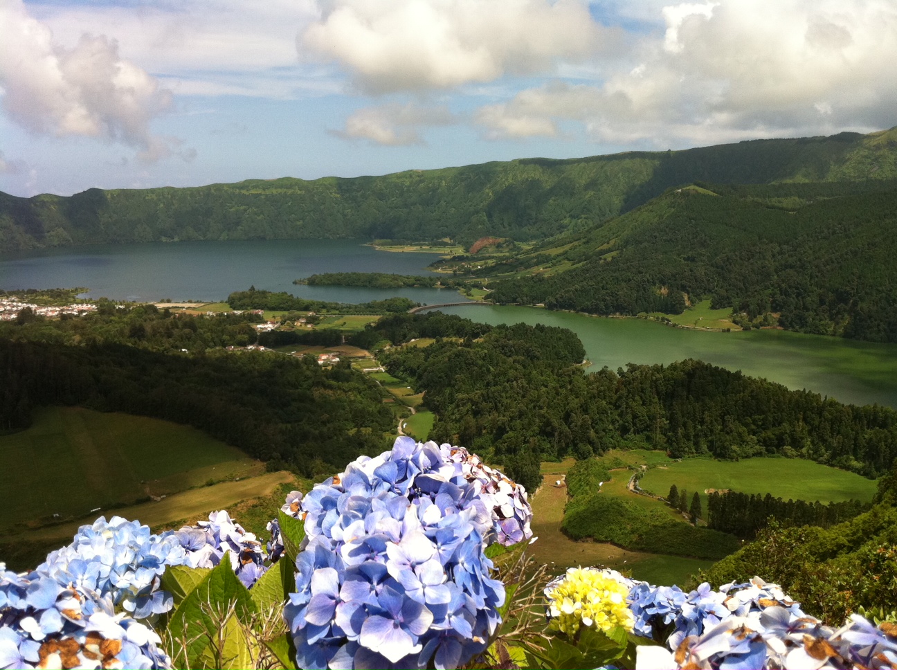 Sete Cidades crater lakes and hydrangeas on Sao Miguel in the Azores
