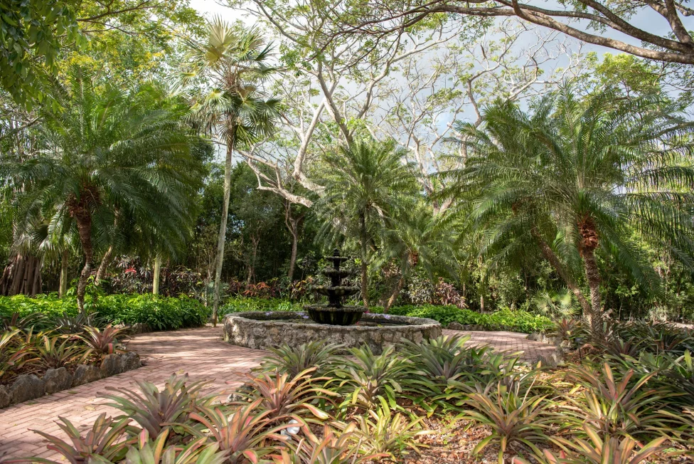 Cayman Islands: Nature & Hidden Cayman