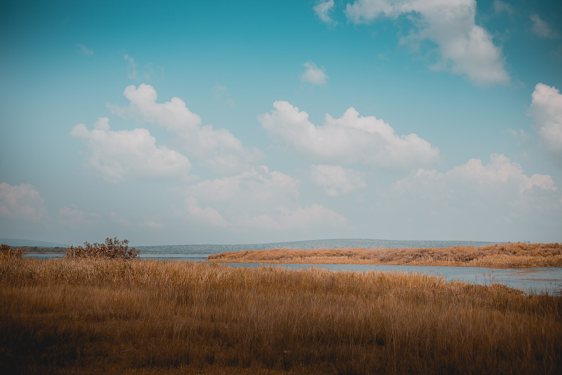 Open savannah and wildlife habitat in Akagera National Park, Rwanda