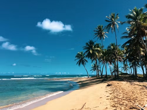 Dominican Republic: Saona Island & Offshore Escapes