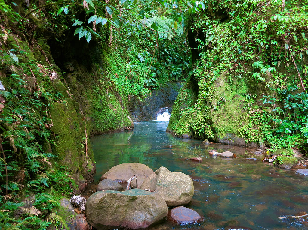 Grenada: Waterfalls & Rainforest