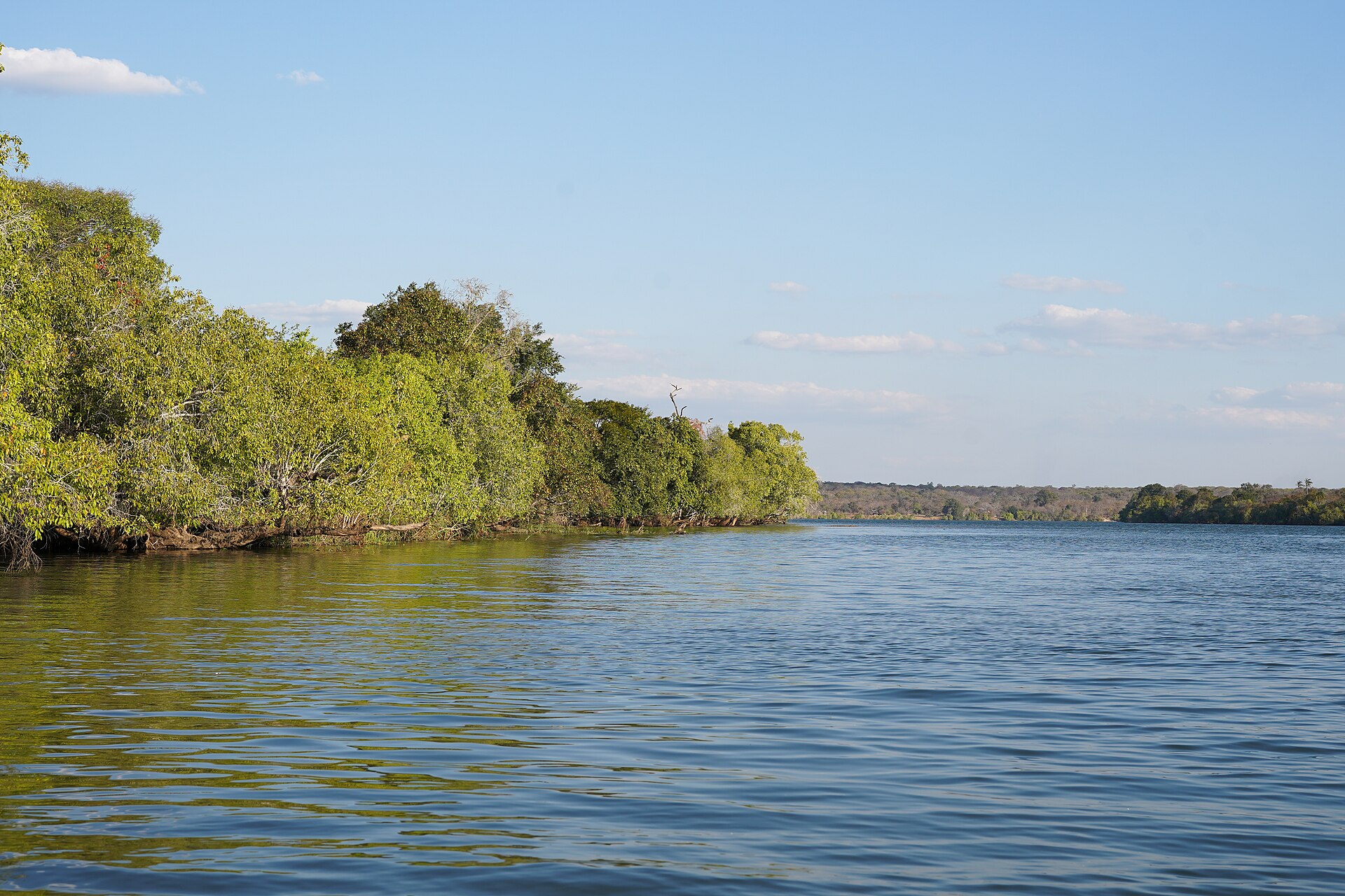 The broad Kafue River flowing past green woodland in Zambia