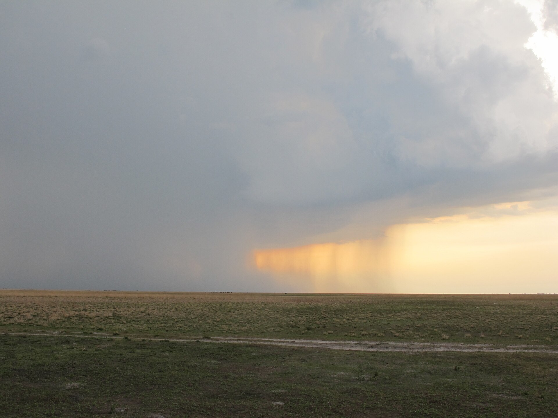 A summer storm sweeping across the open grasslands of Liuwa Plain National Park, Zambia