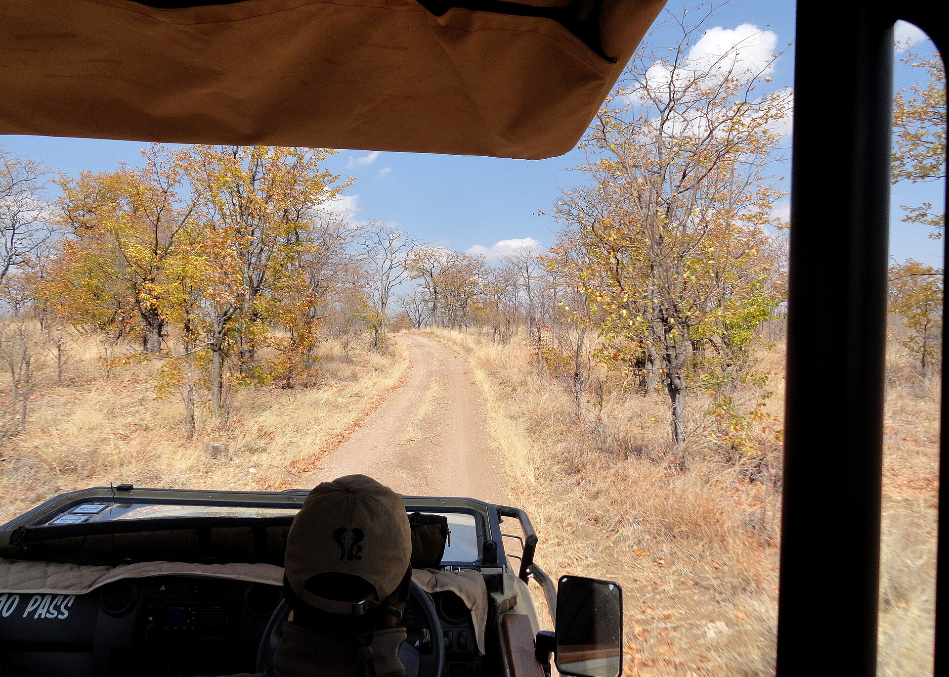 A safari vehicle looking across dry woodland in Hwange National Park, Zimbabwe