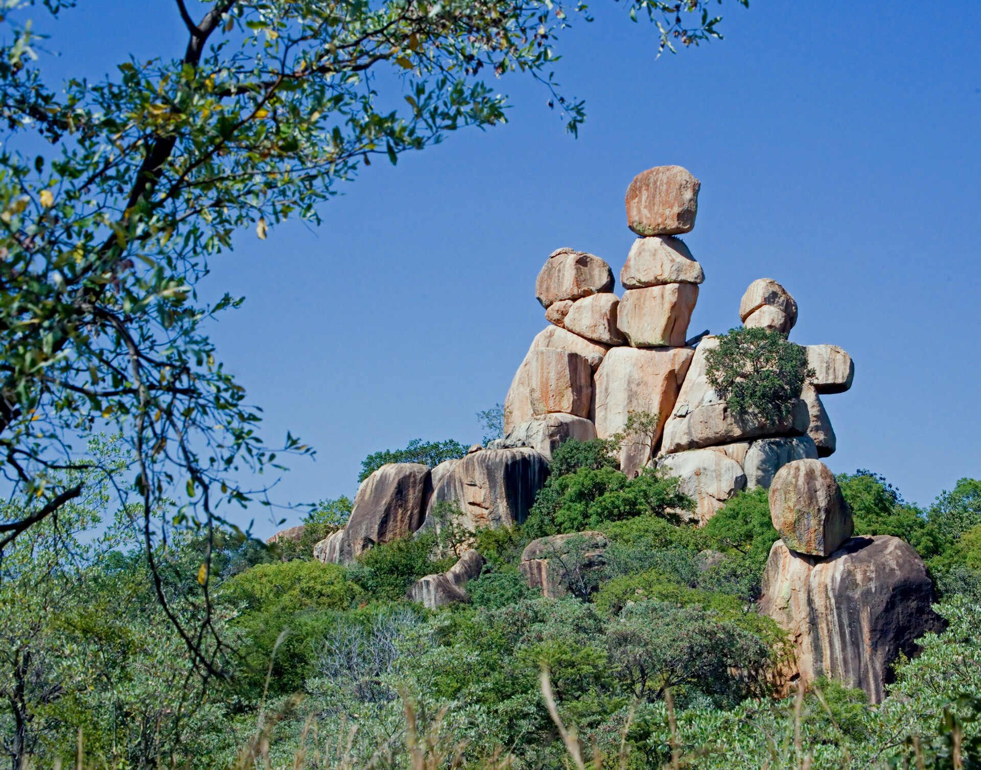 Granite balancing rocks rising above green woodland in Matobo National Park, Zimbabwe